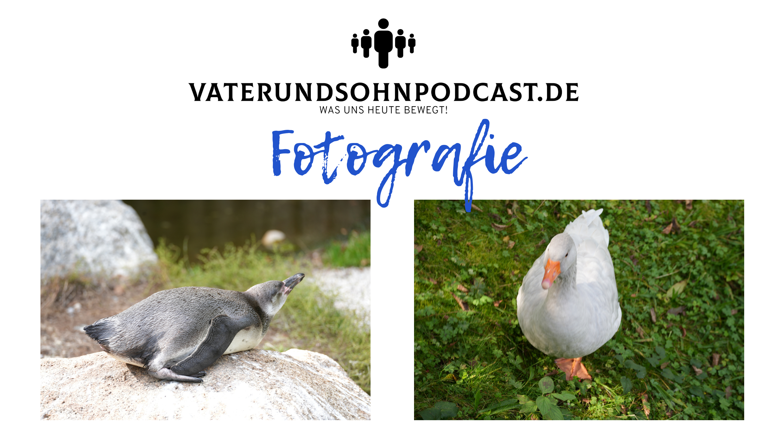 Fotografie2025