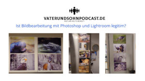 Ist Fotobearbeitung mit Photoshop und Lightroom in 2025 legitim