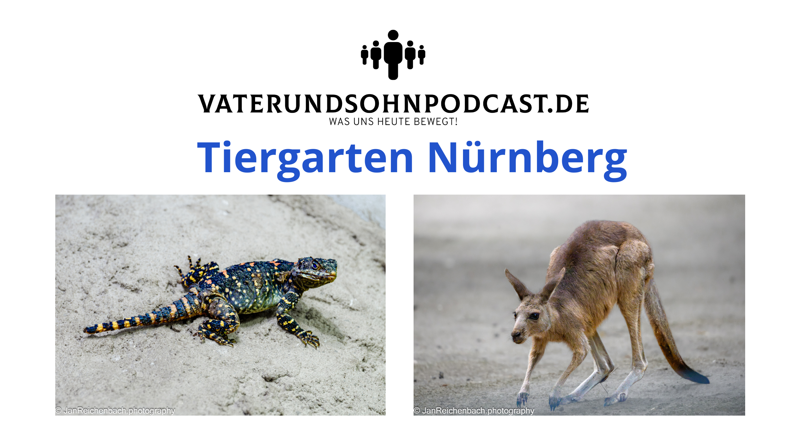 Tiergarten Nürnberg - Geschichte, Daten und Tierfotos im September 2026